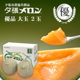 夕張市農協直送 共撰品 夕張メロン優品大玉(約1.6kg) 2玉【送料無料】【産地直送】【代引不可】 北海道 お土産 おみやげ お中元 贈答品 引出物 赤肉メロン お供え物 お盆 名物