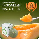 夕張市農協直送 共撰品 夕張メロン良品大玉(約1.6kg) 1玉【送料無料】【産地直送】【代引不可】 北海道 お土産 おみやげ お中元 贈答品 引出物 赤肉メロン お供え物 お盆 名物