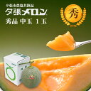 【早割り特価】夕張市農協直送 共撰品 夕張メロン秀品中玉(約1.3kg) 1玉【送料無料】【産地直送】【代引不可】 北海道 お土産 おみやげ お中元 贈答品 引...
