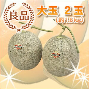 夕張メロン 夕張市農協共撰品 良品大玉(約1.6kg) 2玉 【送料無料】【産地直送】【お中元】【お中元ギフト】【着日指定可】【のし対応】【代引不可】 北海道 お土産 おみやげ