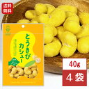 池田食品 オリジナルカシューナッツ とうきびカシュー 40g×4袋おやつ おつまみ カシュー とうきび 家飲み 札幌 お取り寄せ お菓子 プレゼント 送料無料(4)