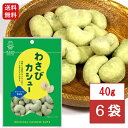 池田食品 オリジナルカシューナッツ わさびカシュー 40g×6袋おやつ おつまみ カシュー 家飲み わさび 札幌 お取り寄せ お菓子 プレゼント 送料無料