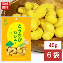 池田食品 オリジナルカシューナッツ とうきびカシュー 40g×6袋おやつ おつまみ カシュー 家飲み とうきび 札幌 お取り寄せ お菓子 プレゼント 送料無料