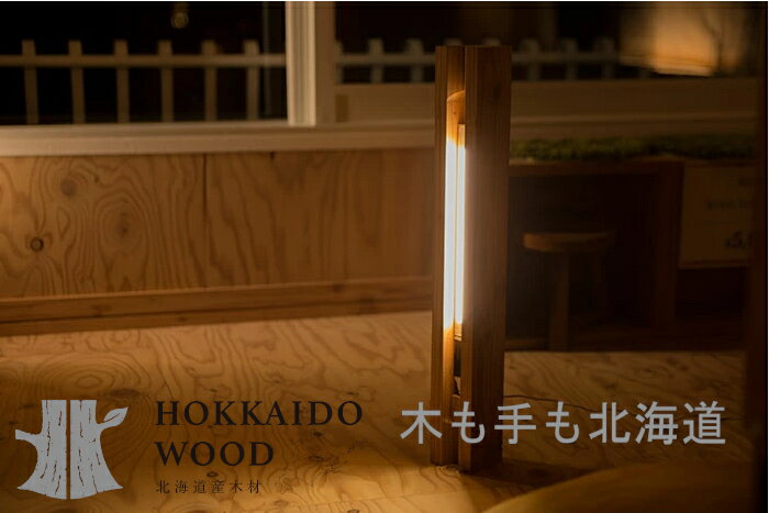 ̳ƻޥĺPURE WOOD LASER LIGHT 910