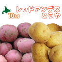 北海道真狩村産［レッドアンデス・とうや 計10kg］2023年秋収穫 野菜セット