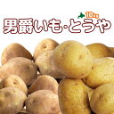 商品画像2