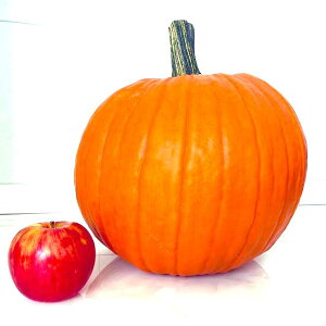 【予約受付中】ハロウィンかぼちゃ合計9キロ(箱に入る玉数1玉から3玉)【送料無料】