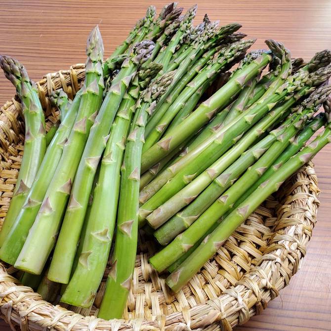 訳あり富良野グリーンアスパラ1kg M