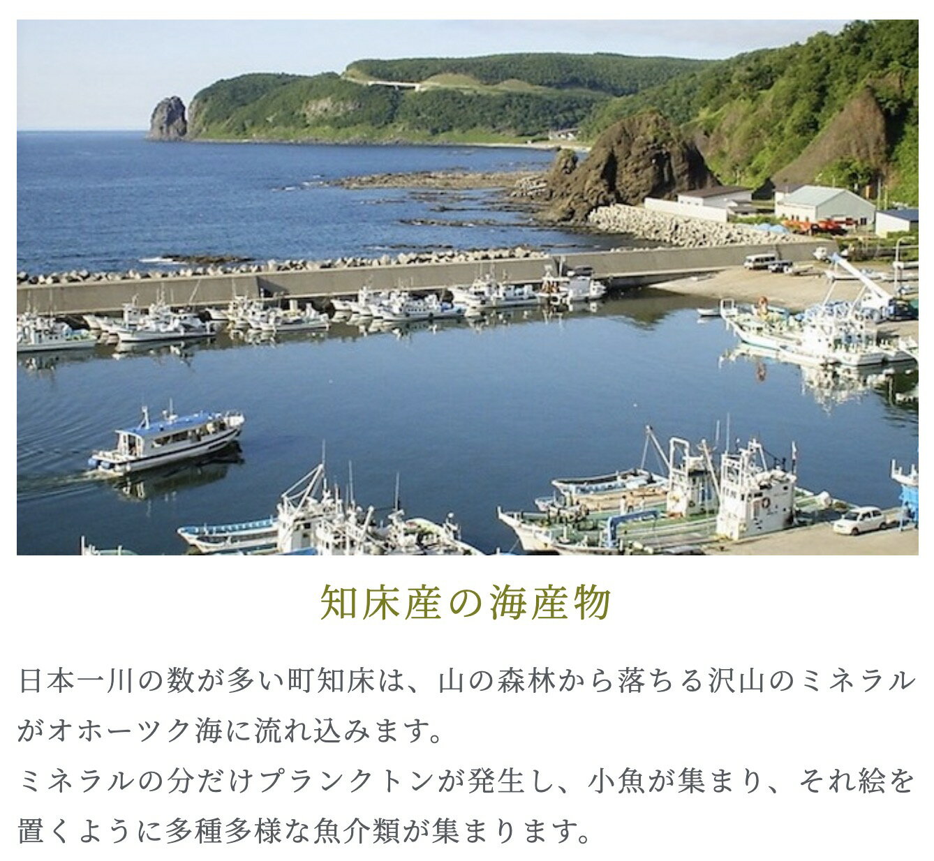 知床