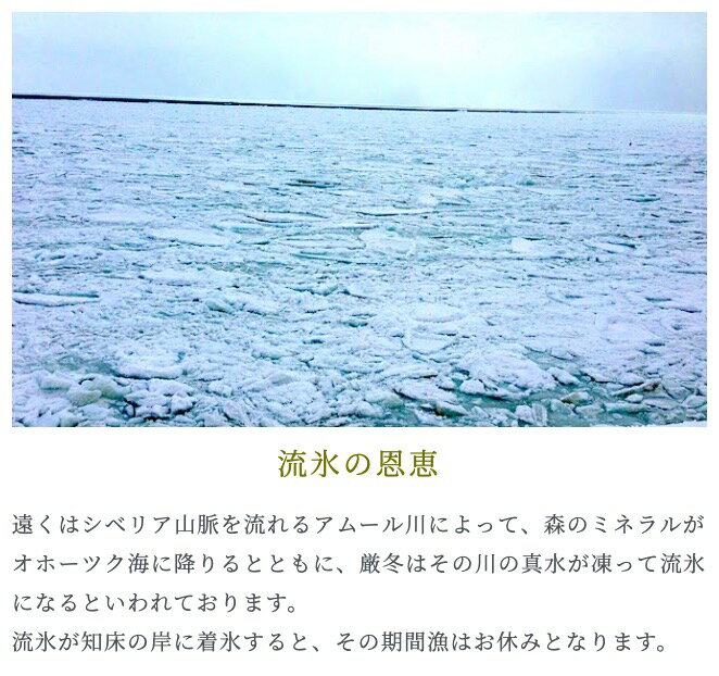 知床