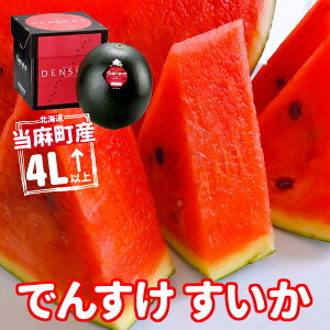 2021年ご予約承り中/7月下旬発送【産直】 北海道当麻町産 でんすけスイカ 4L〜(9Kg〜10Kg) 正規品【代引き不可】お取り寄せ グルメ ギフト 贈答 応援