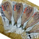 【送料込】氷温乾燥 開きほっけ(大) 5枚セット(株)まるとみ吉川水産 うまいがありすぎ旭川 【冷凍便】熨斗対応可 代引き不可 | ギフト グルメ 食べ物 プレゼント 誕生日 挨拶 退職 お礼 結婚式(4)