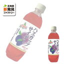 小原 ハスカップサイダー 500ml