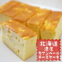 不二屋本店 北海道 濃厚カマンベールチーズケーキ 1本（180g）