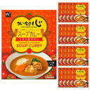 【ケース販売/送料込】カレー食堂 心 トマト&チキン スープカレー 1人前×20個セット 余市産フルーツトマト使用|レトルト グルメ 北海道 お土産 仕送り おいしい 離れて暮らす家族に ストック 常備食 お手軽 国産 保存食 常温保存 ローリングストック