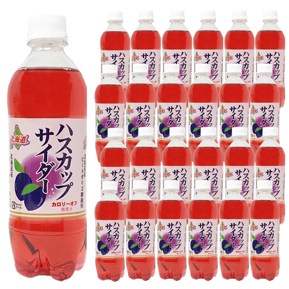 【ケース販売/送料込】小原 ハスカップサイダー 500ml×24本(1ケース)｜北海道 限定 お土産 炭酸飲料 飲み物 ドリンク ご当地 差し入れ お礼 挨拶 引っ越し 箱買い