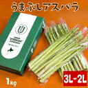 出荷中【送料込】＜春芽＞うまぶしアスパラ 超極太＜3L〜2Lサイズ＞ 1kg （約12本入）｜ギフト 北海道産 グリーンアスパラガス 農園指定 美味しい 贈答用のし対応可 代引き不可