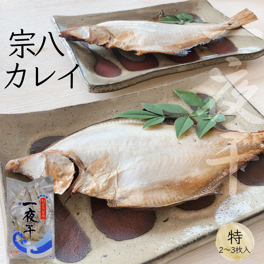 商品詳細北海道では、干して食べるカレイの中では一番有名です。そのまま魚焼きグリルで焼いても、またフライパンにサッと油を引いて焼いても美味しいです。冷凍のまま片栗粉をつけて揚げると、ヒレも美味しくいただけます。 名称一夜干宗八カレイ(冷凍)内容量1袋2枚～3枚入（約350～400g）賞味期間300日保存方法-18℃以下で保存してください原材料宗八カレイ、食塩製造者(有)柳浦食品北海道稚内市末広2丁目1-10その他情報原産地＆加工地：北海道