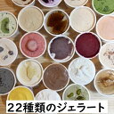 ミニカップ【22種類】北海道江別産ジェラートおまかせ 80ml×22個 送料無料 卵不使用 お祝い 内祝 ギフト用 熨斗 ご自宅用 パーティー用