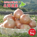【最大全額ポイントバックCP】【予約販売 9月上旬発送】JAきたみらい 北海道産 北見 玉葱 L玉 5kg 約25個入り生産量日本一 甘み 食品 グルメ 野菜 ギフト 送料無料