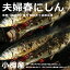 【北海道小樽産】にしん オス メス 2尾セット 鮮度 抜群 魚卵(数の子)持ち とれたて急速冷凍送料無料【九州・沖縄を除く】北海道 にしん 小樽 春にしん 雄雌にしん ニシン にしん 鰊 生ニシン ニシン子持ち 数の子 魚卵 新鮮獲れたて 北海道 海鮮 ギフト