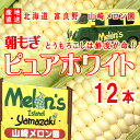 北海道 富良野産 「山崎メロン園」産地直送とうもろこし【ピュアホワイト】　12本セット※送料無料【九州・沖縄を除く】とうもろこし 北海道 とうもろこし 送料無料 白 トウモロコシ とうもろこし 生 とうもろこし ホワイト とうもろこし ギフト 贈答