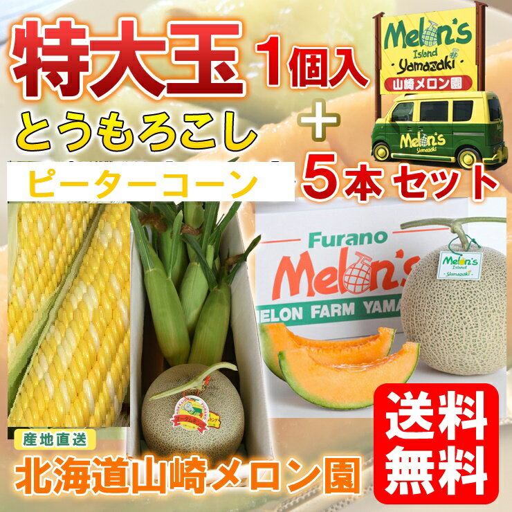 北海道 富良野 山崎メロン園 産地直送【富良野メロン】赤肉 特大玉(2kg) 1個＋【とうもろこし ピーターコーン】5本セット※7月中旬以降順次発送いたします※送料無料【九州・沖縄を除く】メロン 送料無料 北海道 メロン とうもろこし セット