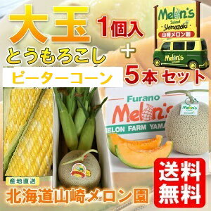 北海道 富良野 山崎メロン園 産地直送【富良野メロン】赤肉 大玉(1.7～1.8kg) 1個＋【とうもろこし ピーターコーン】5本セット※7月中旬以降順次発送いたします※送料無料【九州・沖縄を除く】メロン 送料無料 メロン とうもろこし 北海道 セット