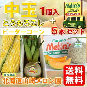 北海道 富良野 山崎メロン園 産地直送【富良野メロン】赤肉 中玉(1.4kg〜1.6kg) 1個＋【とうもろこし ピーターコーン】5本セット※7月中旬以降順次発送いたします※送料無料【九州・沖縄を除く】メロン 送料無料 メロン とうもろこし 北海道 セット