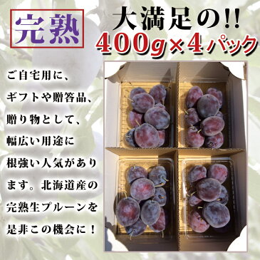 北海道 余市町 産地直送【生プルーン】400g×4パック送料無料【九州・沖縄を除く】プルーン 送料無料 北海道産 プルーン 生 プラム ジャム ヨーグルト お土産 贈答品 ギフト
