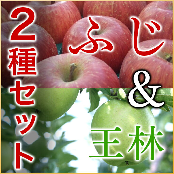 北海道 余市 産地直送 りんご 【ふじ＆王林】5kgセット 有機質肥料使用※送料無料【九州・沖縄を除く】※11月下旬より順次発送予定りんご 5kg 北海道産 余市産 りんご 送料無料 りんご ふじ 王林 リンゴ 林檎 セット フジ りんご ギフト 贈答品