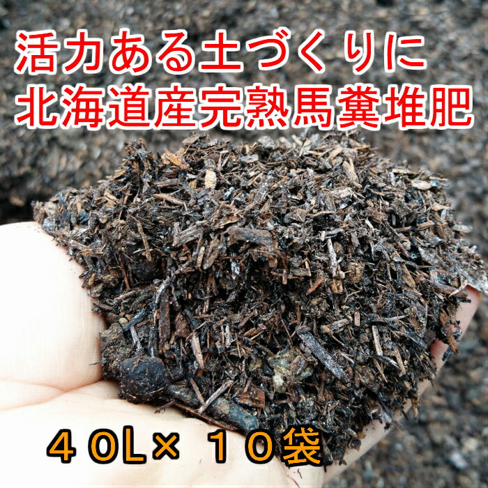 �̳�ƻ�� ��ʵ���� 40L 10�ޥ��å�