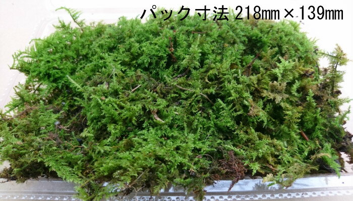 ������̵�����̳�ƻ�� ���Υ֥��� 2�ѥå�����