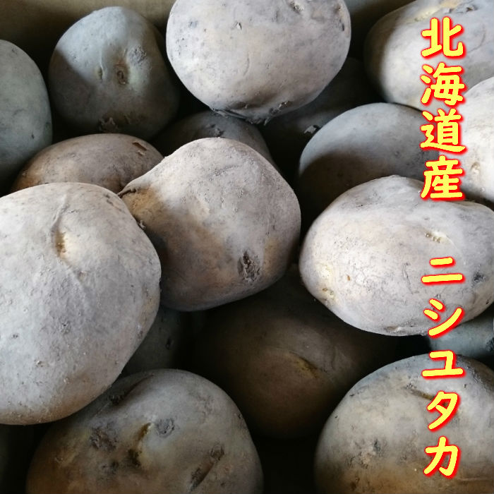 【北海道産】じゃがいも　ニシユタカ10kg　2L