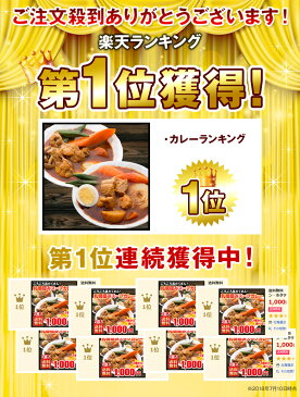 送料無料　2種から選べる　札幌極みスープカレー　2食　豚角煮・チキン　北海道　カレー　レトルト 1000円ポッキリ