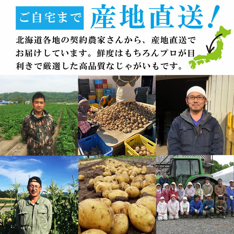 じゃがいも 北海道 レッドムーン 5kg 変わった品種 紅メークイン アンデスレッド ...