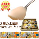 プリン 北海道 カスタード ミルク かぼちゃ 6個セット お菓子 常温 最高金賞 受賞 ご当地お菓子グランプリ 送料無料