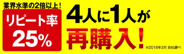 送料無料　2種から選べる　札幌極みスープカレー　2食　豚角煮・チキン　北海道　カレー　レトルト 1000円ポッキリ