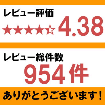 1000円 おつまみ 送料無料 皮付きわけあり 鮭とば 北海道産 天然秋鮭 ひと口サイズ 140g