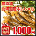 おつまみ 送料無料 ししゃも 寒干し 北海道産 50g 珍味 無添加