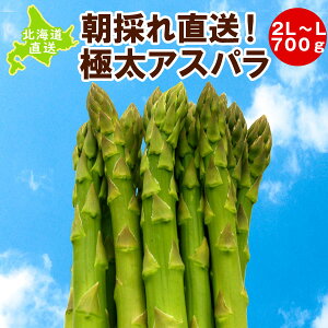 【北海道のグリーンアスパラ】新鮮で美味しい！人気のアスパラのおすすめは？