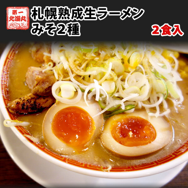 送料無料 お試し味噌2食 500円 北海道 ラーメン 札幌熟成生麺 目利き厳選 味噌2種 送料無料