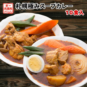 スープカレー 送料無料 2種入でお得 札幌極みスープカレー 10食 北海道 カレー レトルト 大容量 （チキン5食・豚角煮5食） ギフト