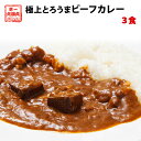 カレー レトルト ビーフ とろうまビ