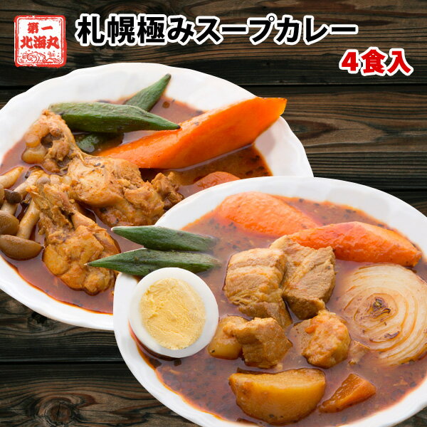 スープカレー 送料無料 2種から選べ