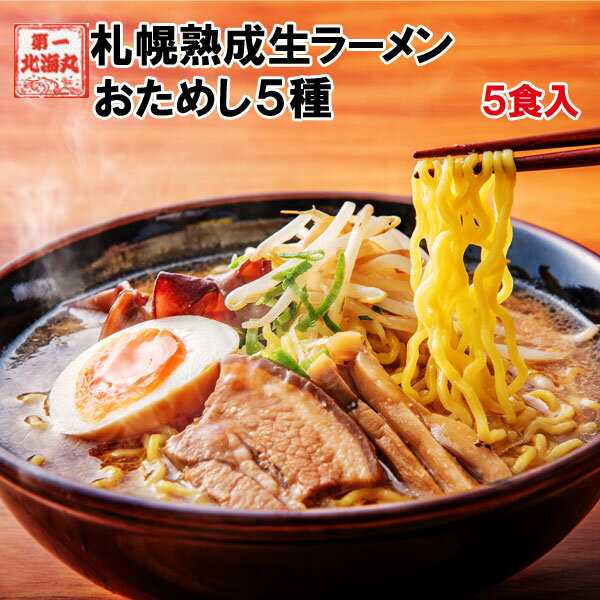 ラーメン 送料無料 北海道 5食セット 札幌熟成生麺 5種スープ食べ比べ ポッキリ 醤油 みそ 塩 1000円 ※スープがリニューアル！