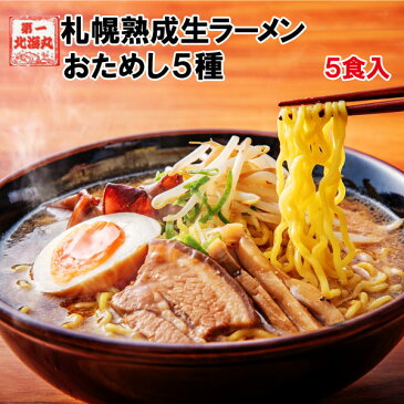 ラーメン 送料無料 北海道 5食セット 札幌熟成生麺 5種スープ食べ比べ ポッキリ 醤油 みそ 塩 1000円