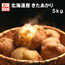 北海道産きたあかり 送料無料 混玉5kg 新じゃが 2020年9月中旬より出荷予定