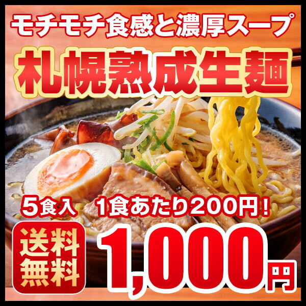 ラーメン 送料無料 北海道 5食セット 札幌熟成生麺 5種スープ食べ比べ ポッキリ 醤油 みそ 塩 1000円