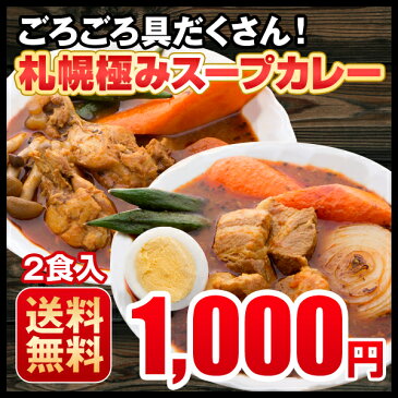 送料無料　3種から選べる　札幌極みスープカレー　2食　豚角煮・チキン・ホタテ　北海道　カレー　レトルト 1000円ポッキリ